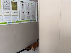 -瑞鹏宠物医院·超声·骨科·奇麟分院(蜀都万达店)