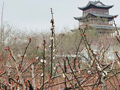 -南京市无想山景区