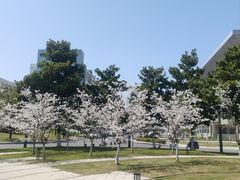 -南京中医药大学(仙林校区)