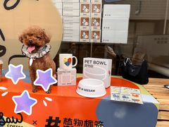 -Seesaw Coffee(上生新所店)