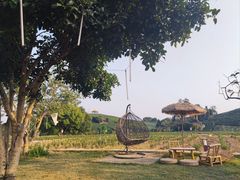 -龙坞茶村