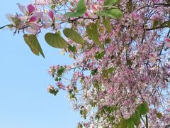 -水濂山森林公园