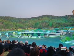 -鼎盛王朝康熙大典实景演出