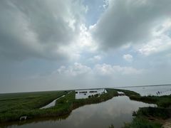 -盐城丹顶鹤湿地生态旅游区