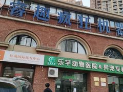 -睿趣疯狂机器人·乐高·编程·STEM(橡树湾中心)