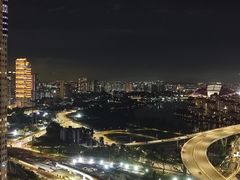-新加坡丽思卡尔顿美年酒店