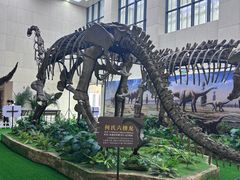 -广西壮族自治区博物馆