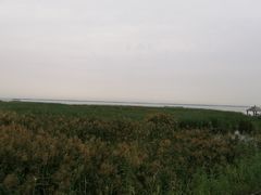 -哈素海
