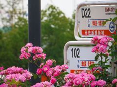 -南京国际青年文化中心