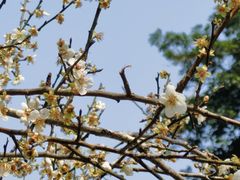 -广州市白云山风景名胜区