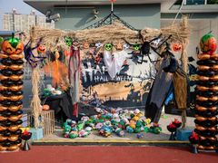 -海富金太阳幼儿园(金杨十街坊东)