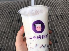 -一只酸奶牛(八一路店)