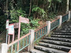 -金盆阿嬷香菇茶叶蛋(玄光店)