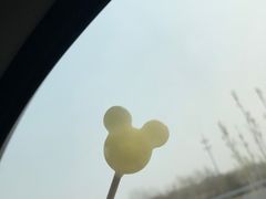 -大自然农场蔬菜草莓采摘园