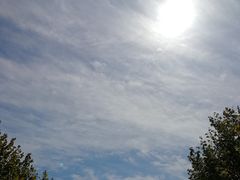 -鼎泰丰(嘉年华•海信广场VILLAGE店)