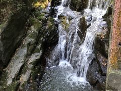 -藏龙百瀑风景区