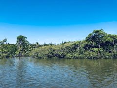 -东寨港红树林旅游区