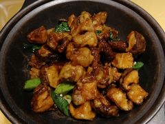 -素虎小呆鸟(西二旗店)