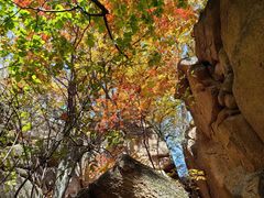 -五女峰国家森林公园