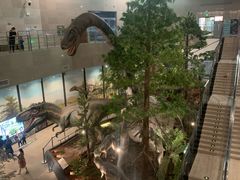 -湖南省地质博物馆