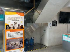 -伟伟宠物医院·CT影像中心·瑞派犬猫综合性门诊(汉口总院)