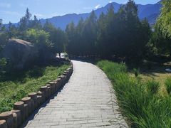-白水寺森林公园