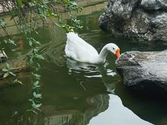 -祝家花園(伯渎港店)