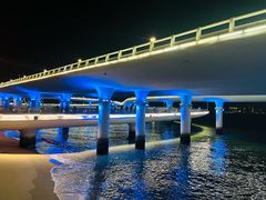 -演武大桥观景平台