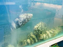 -海鸿荟·沿江菜(中山北路店)