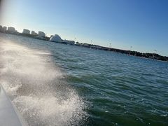 -碧海金沙