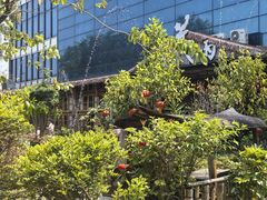 -花溪雨·森林餐厅(石基店)