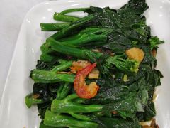 姜汁炒芥兰-朱仔记食府(江南大道店)