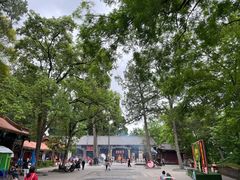 -子昂故里文化旅游区