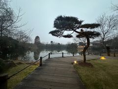 -新荣记(西溪湿地店)