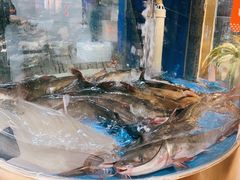 -蜀滋香鲜鱼美蛙火锅(339店)