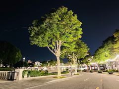 -阳澄湖半岛旅游度假区