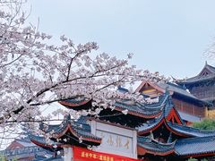-鸡鸣寺
