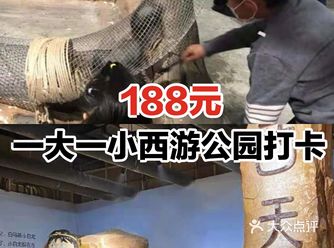 188元室内体验但亲近自然！