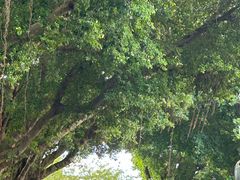 -人民公园(罗湖区)