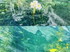 -丽江泸沽湖景区