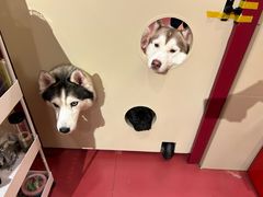 -和它·交个朋友·狗咖猫咖(爱琴海店)