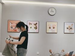 点击看大图 -洗脸猫·洗脸吧