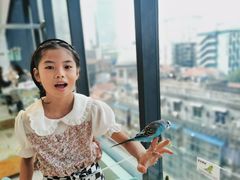 -怪兽屋·羊驼·猫咖·狗咖(俊华广场店)