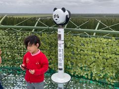 -黄海国家森林公园