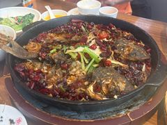 -老板恋上鱼(恒隆广场店)