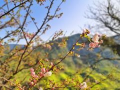 -篁岭景区