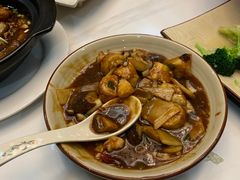 -京城·森鸽排档(双井店)
