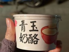 -青玉酸奶青海老酸奶、甜醅子