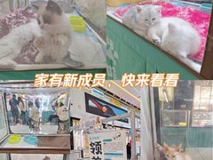 -万达广场(北京槐房店)