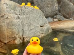 -湖泉半山温泉